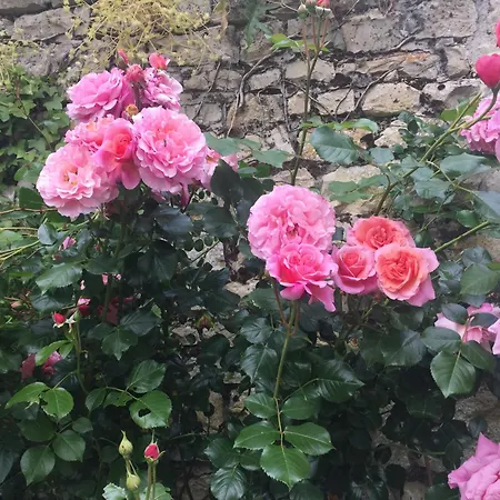 Holiday home Manoir St Hilaire *